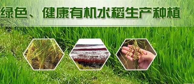 黑龍江省和糧農(nóng)業(yè)有限公司