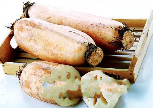 蘇州塘藕