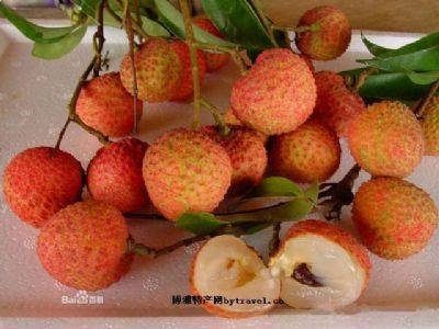 九湖蘭竹荔枝