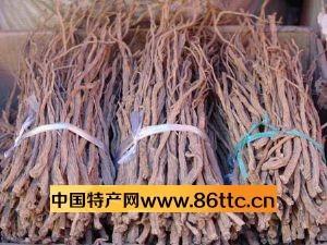 林口黨參