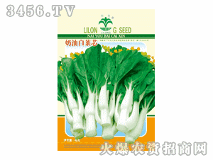 江門白菜