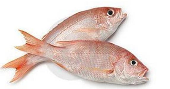 加吉魚