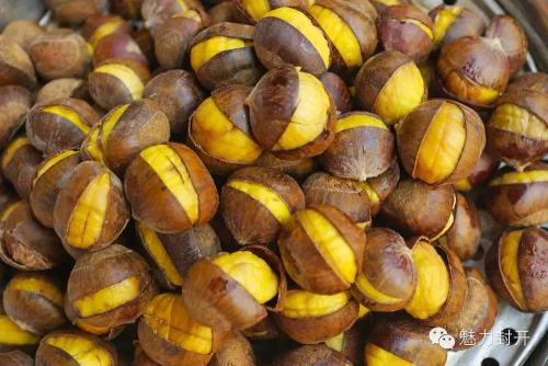 封開油栗