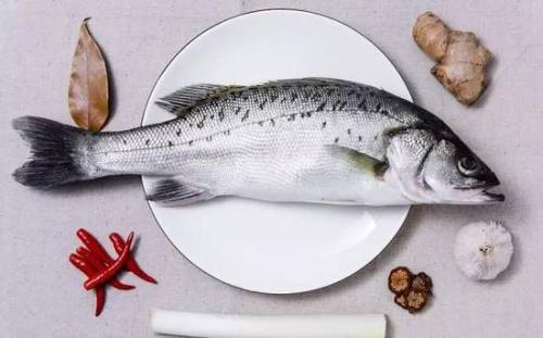 斗門海鱸