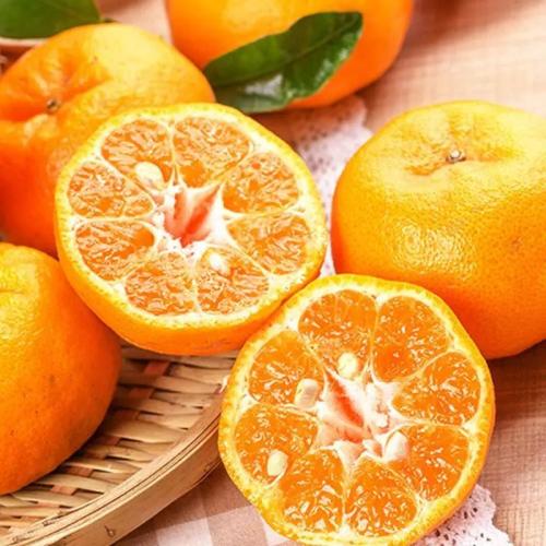 漳州蘆柑