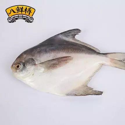 東海生態(tài)魚