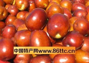 嶧縣大棗