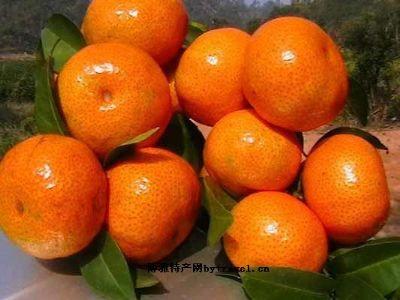 誥贈(zèng)貢柑