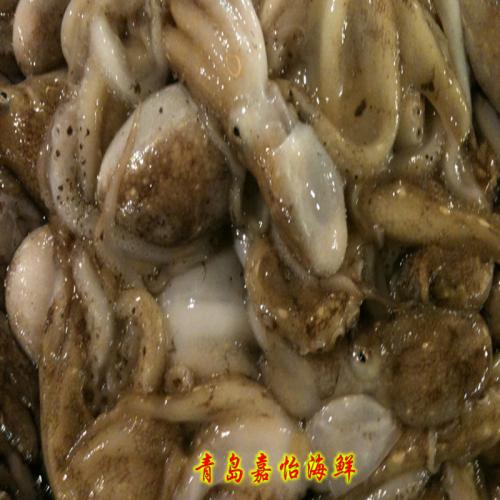 野生八爪魚(yú)
