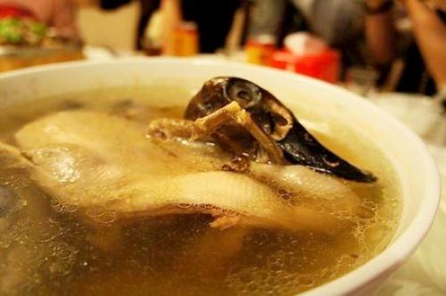 連城白鴨湯
