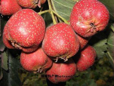 無核山楂果