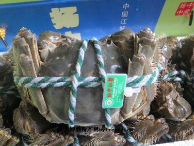 揚(yáng)中江蟹