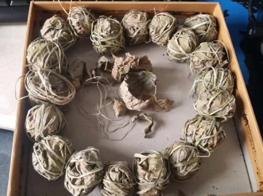 鷓鴣茶