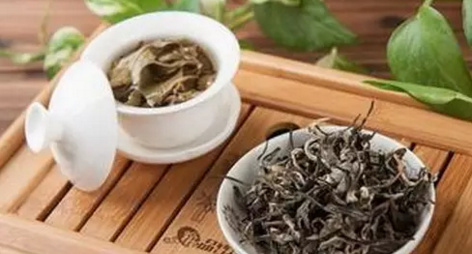 仁化白毛茶