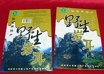 巖耳