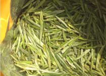 云霧茶