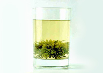 黃山綠牡丹