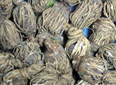 頭頂一顆珠