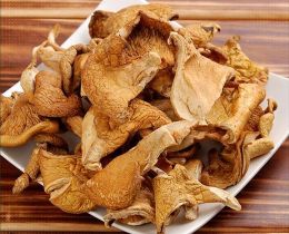 野生元菇