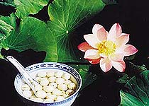 里葉白蓮