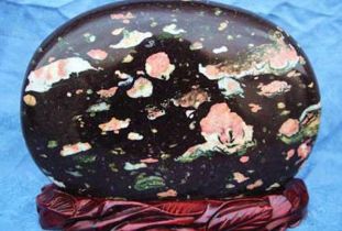 汝陽梅花玉