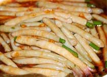 沙蟲
