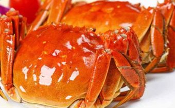 陽(yáng)澄湖大閘蟹