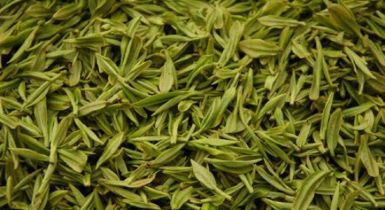 陽羨貢茶
