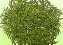 日照綠茶